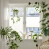 Pleated blind, white/top-down bottom-up, 60x130 cm