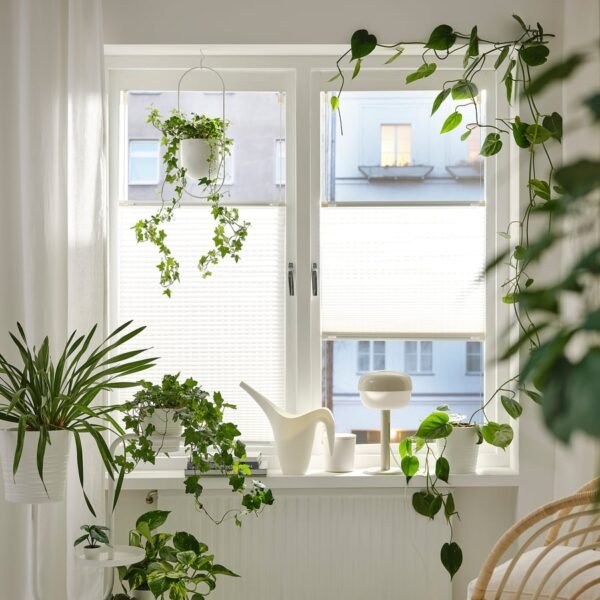 Pleated blind, white/top-down bottom-up, 60x130 cm